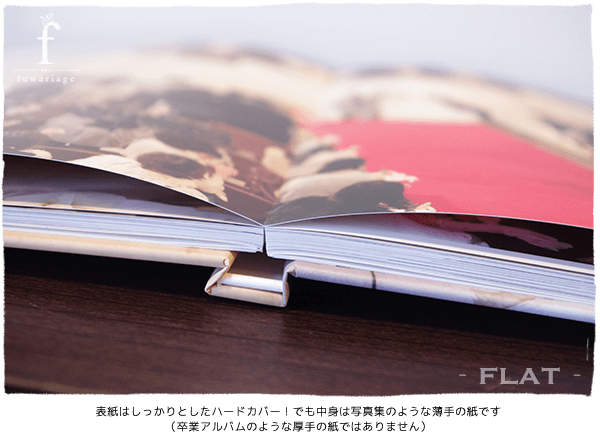 �\���͂�������Ƃ����n�[�h�J�o�[�I�ł����g�͎ʐ^�W�̂悤�Ȕ���̎��ł��i���ƃA���o���̂悤�Ȍ���̎��ł͂���܂���j